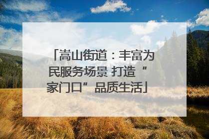 嵩山街道：丰富为民服务场景 打造“家门口”品质生活