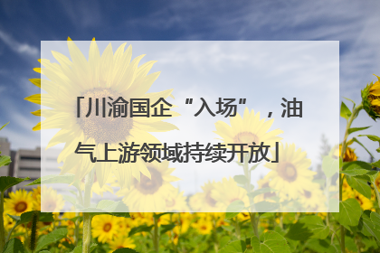 川渝国企“入场”，油气上游领域持续开放