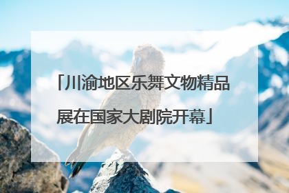 川渝地区乐舞文物精品展在国家大剧院开幕