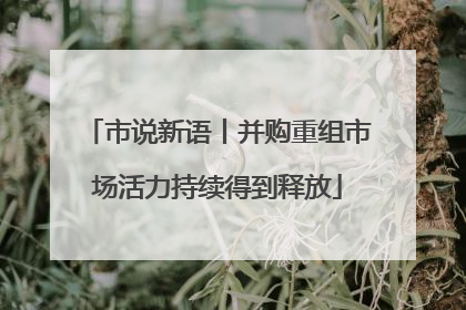 市说新语丨并购重组市场活力持续得到释放