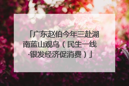 广东赵伯今年三赴湖南蓝山观鸟（民生一线·银发经济促消费）