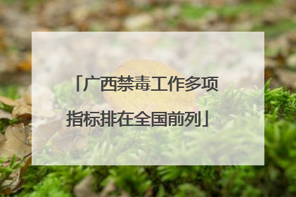 广西禁毒工作多项指标排在全国前列