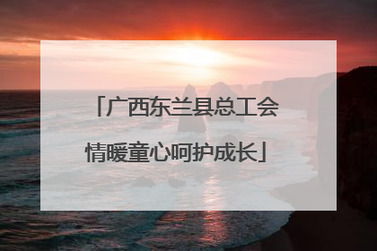 广西东兰县总工会情暖童心呵护成长