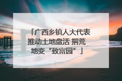 广西乡镇人大代表推动土地盘活 撂荒地变“致富园”