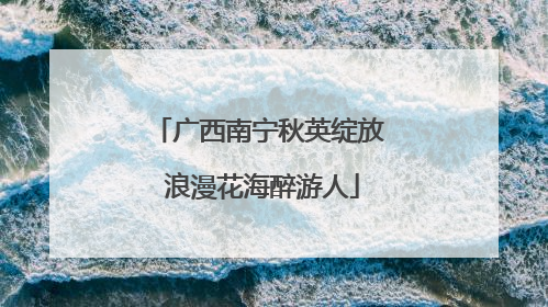 广西南宁秋英绽放 浪漫花海醉游人