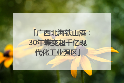 广西北海铁山港：30年蝶变超千亿现代化工业强区