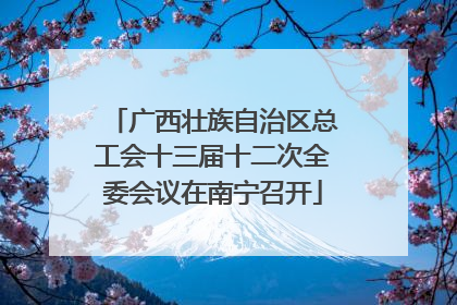 广西壮族自治区总工会十三届十二次全委会议在南宁召开
