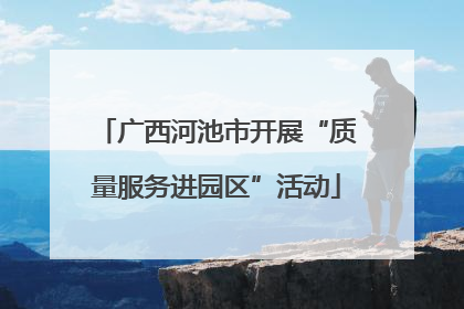 广西河池市开展“质量服务进园区”活动