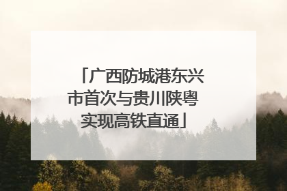 广西防城港东兴市首次与贵川陕粤实现高铁直通