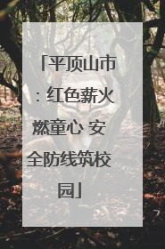 平顶山市：红色薪火燃童心 安全防线筑校园