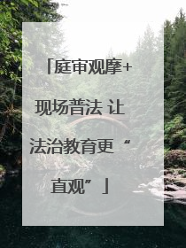 庭审观摩+现场普法 让法治教育更“直观”