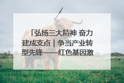 弘扬三大精神 奋力建成支点｜争当产业转型先锋——红色基因激荡荆门转型跨越之路