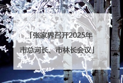 张家界召开2025年市总河长、市林长会议