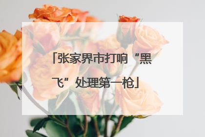 张家界市打响“黑飞”处理第一枪