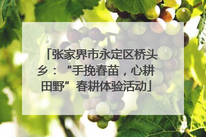 张家界市永定区桥头乡：“手挽春苗，心耕田野”春耕体验活动