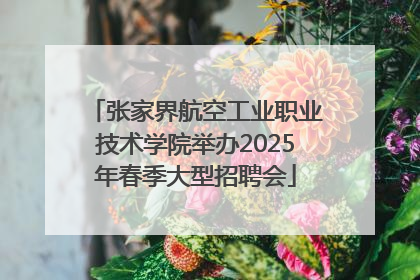 张家界航空工业职业技术学院举办2025年春季大型招聘会