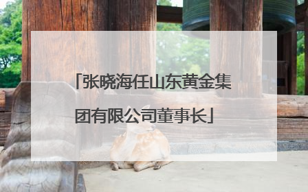 张晓海任山东黄金集团有限公司董事长