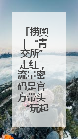 捞舆｜“青交所”走红，流量密码是官方带头“玩起来”