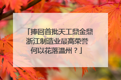 捧回首批天工鼎金鼎 浙江制造业最高荣誉何以花落温州？