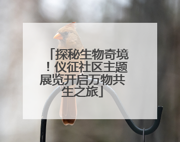 探秘生物奇境！仪征社区主题展览开启万物共生之旅