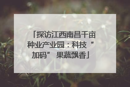 探访江西南昌千亩种业产业园：科技“加码” 果蔬飘香