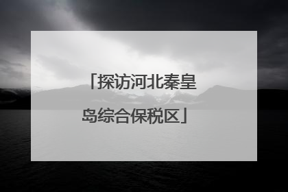 探访河北秦皇岛综合保税区