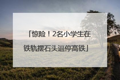 惊险！2名小学生在铁轨摆石头逼停高铁