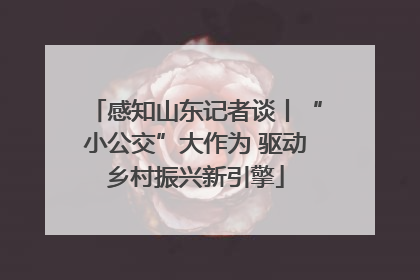 感知山东记者谈丨“小公交”大作为 驱动乡村振兴新引擎