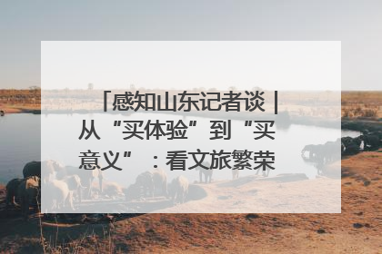 感知山东记者谈｜从“买体验”到“买意义”：看文旅繁荣背后的幸福新定义