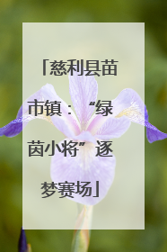 慈利县苗市镇：“绿茵小将”逐梦赛场