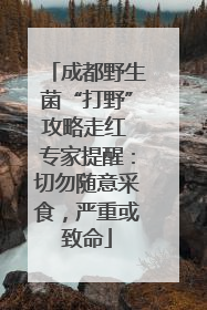 成都野生菌“打野”攻略走红 专家提醒：切勿随意采食，严重或致命