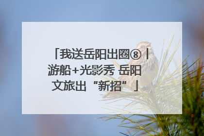 我送岳阳出圈⑧丨游船+光影秀 岳阳文旅出“新招”