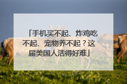 手机买不起、炸鸡吃不起、宠物养不起？这届美国人活得好难