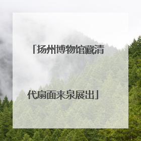 扬州博物馆藏清代扇面来泉展出