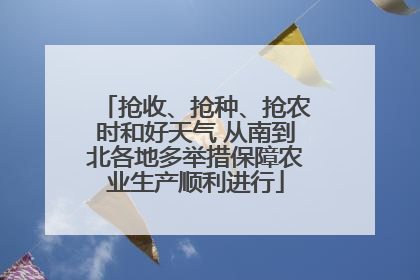 抢收、抢种、抢农时和好天气 从南到北各地多举措保障农业生产顺利进行