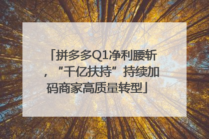 拼多多Q1净利腰斩，“千亿扶持”持续加码商家高质量转型