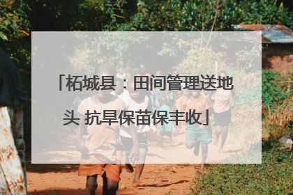 柘城县：田间管理送地头 抗旱保苗保丰收