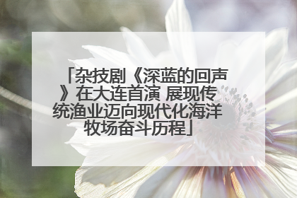 杂技剧《深蓝的回声》在大连首演 展现传统渔业迈向现代化海洋牧场奋斗历程