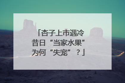 杏子上市遇冷 昔日“当家水果”为何“失宠”？