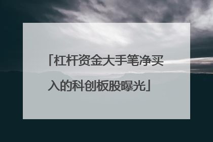 杠杆资金大手笔净买入的科创板股曝光