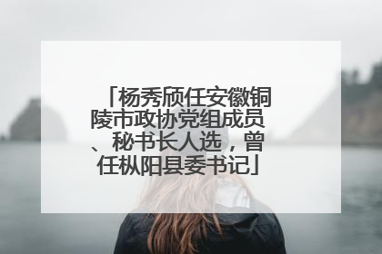 杨秀颀任安徽铜陵市政协党组成员、秘书长人选，曾任枞阳县委书记