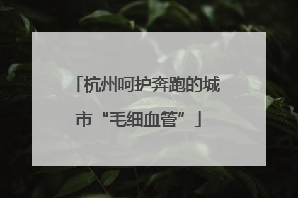 杭州呵护奔跑的城市“毛细血管”