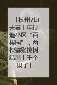 杭州7旬夫妻十年打造小区“百果园”，两棵猕猴桃树结出上千个果子