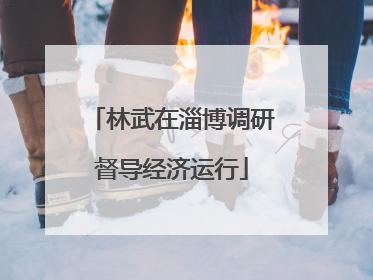 林武在淄博调研督导经济运行