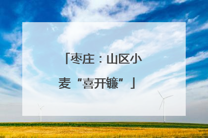 枣庄：山区小麦“喜开镰”