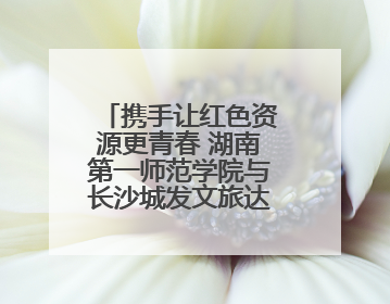 携手让红色资源更青春 湖南第一师范学院与长沙城发文旅达成战略合作
