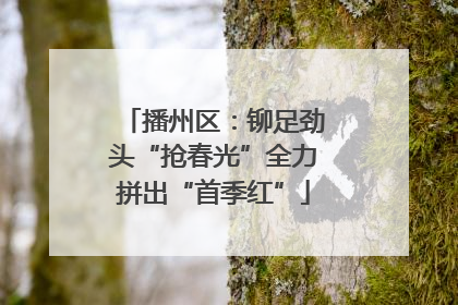 播州区：铆足劲头“抢春光”全力拼出“首季红”