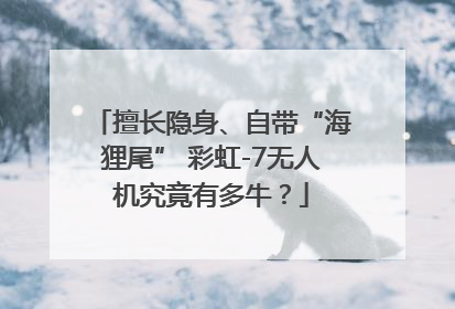擅长隐身、自带“海狸尾” 彩虹-7无人机究竟有多牛？