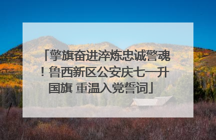 擎旗奋进淬炼忠诚警魂！鲁西新区公安庆七一升国旗 重温入党誓词