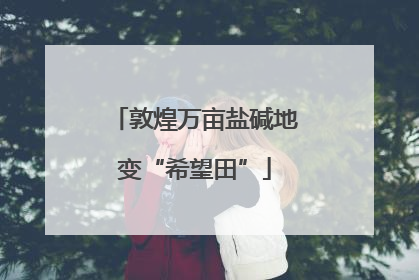 敦煌万亩盐碱地变“希望田”